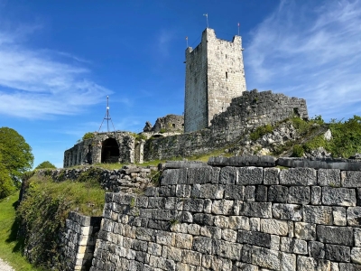 СП«Самшитовая роща»  