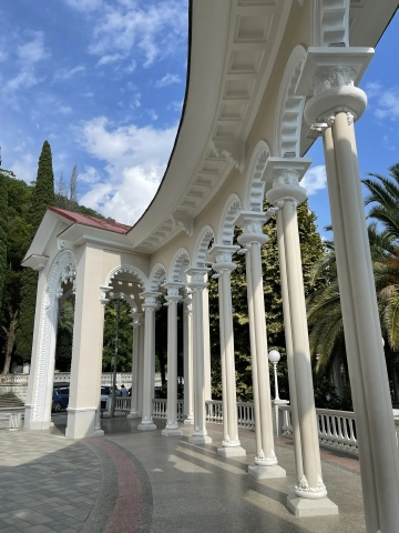 Пансионат «Сосновая роща». Пицунда 